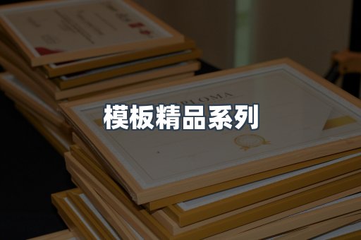 模板精品系列